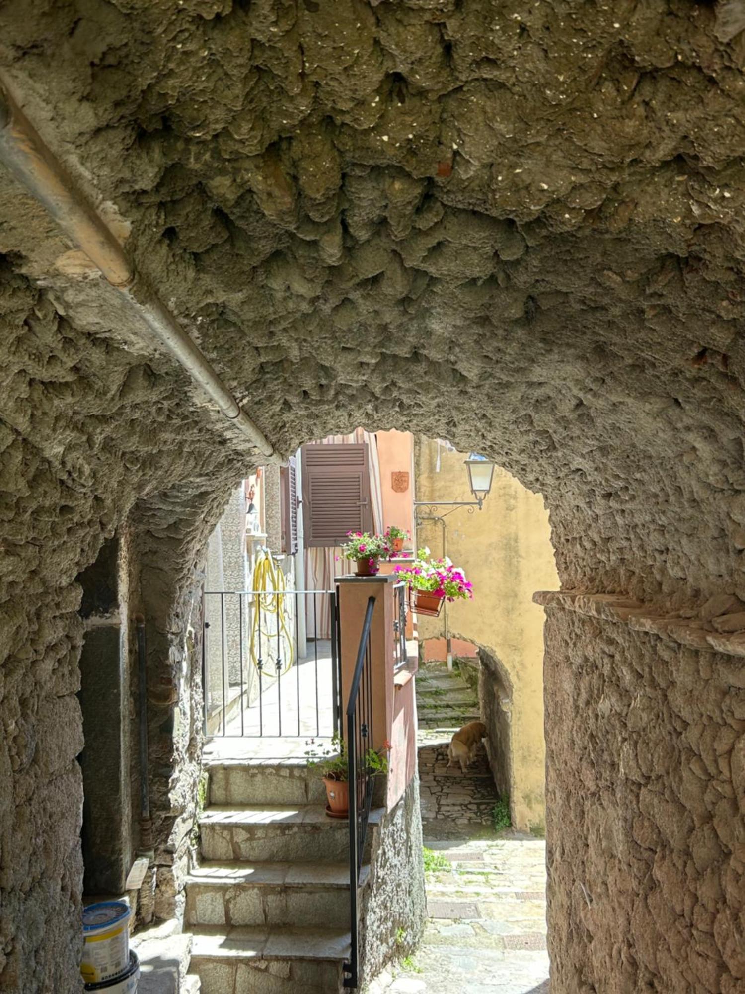 Ca De Igiu-Biassa-Cinque Terre Apartment Exterior photo